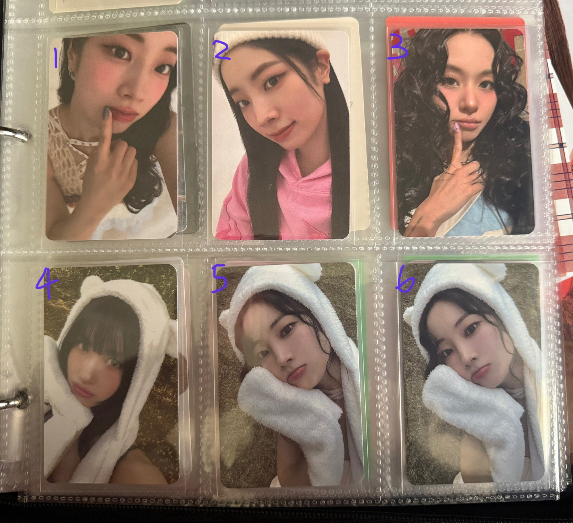 🈲中文卡背、熊帽（需多帶）