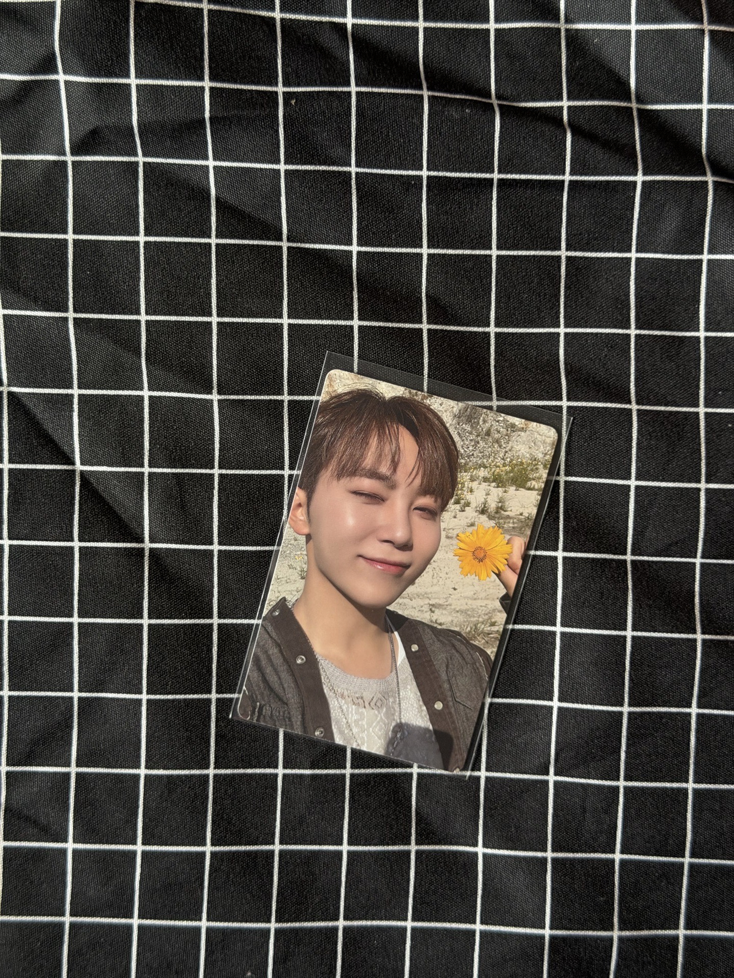 跟這朵花一樣燦爛