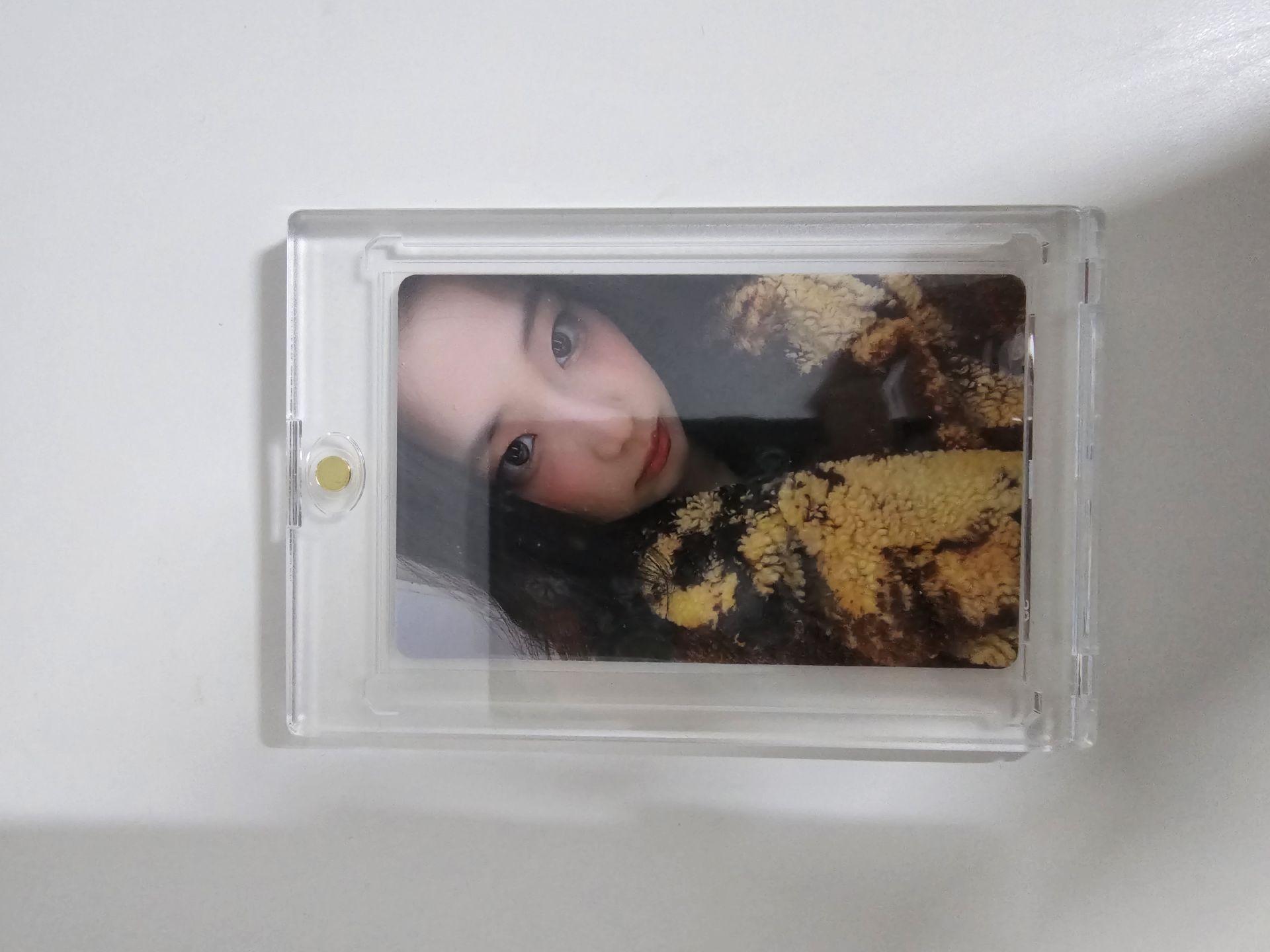 首爾展位🦥 B ver.