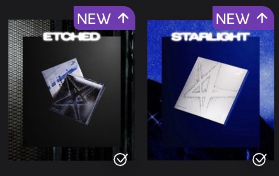 彬 正四E/S版全專（兩圖）