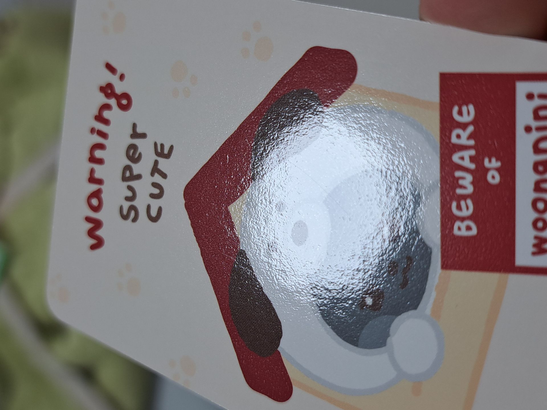 zeroni FW 滿額卡雄