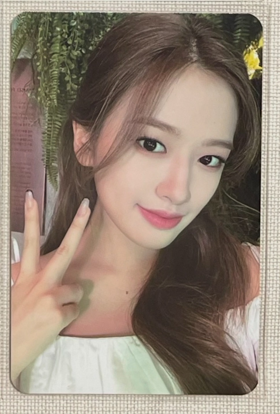 現貨 eleven ms2特典  