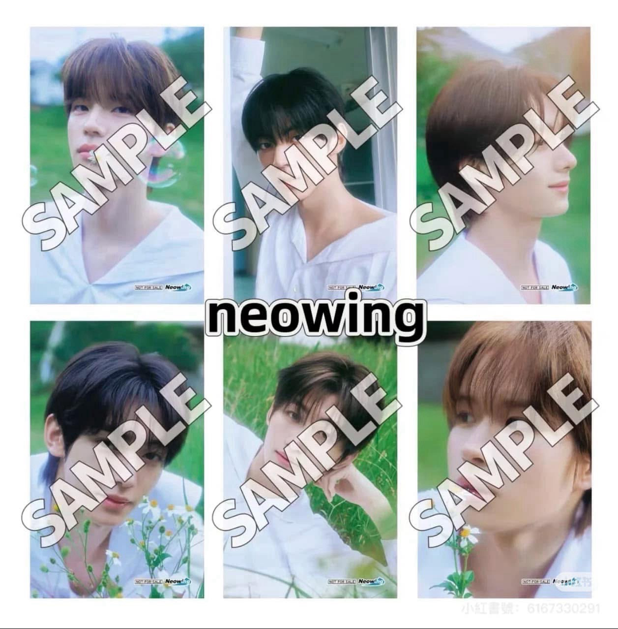 金道勳neowing特典卡