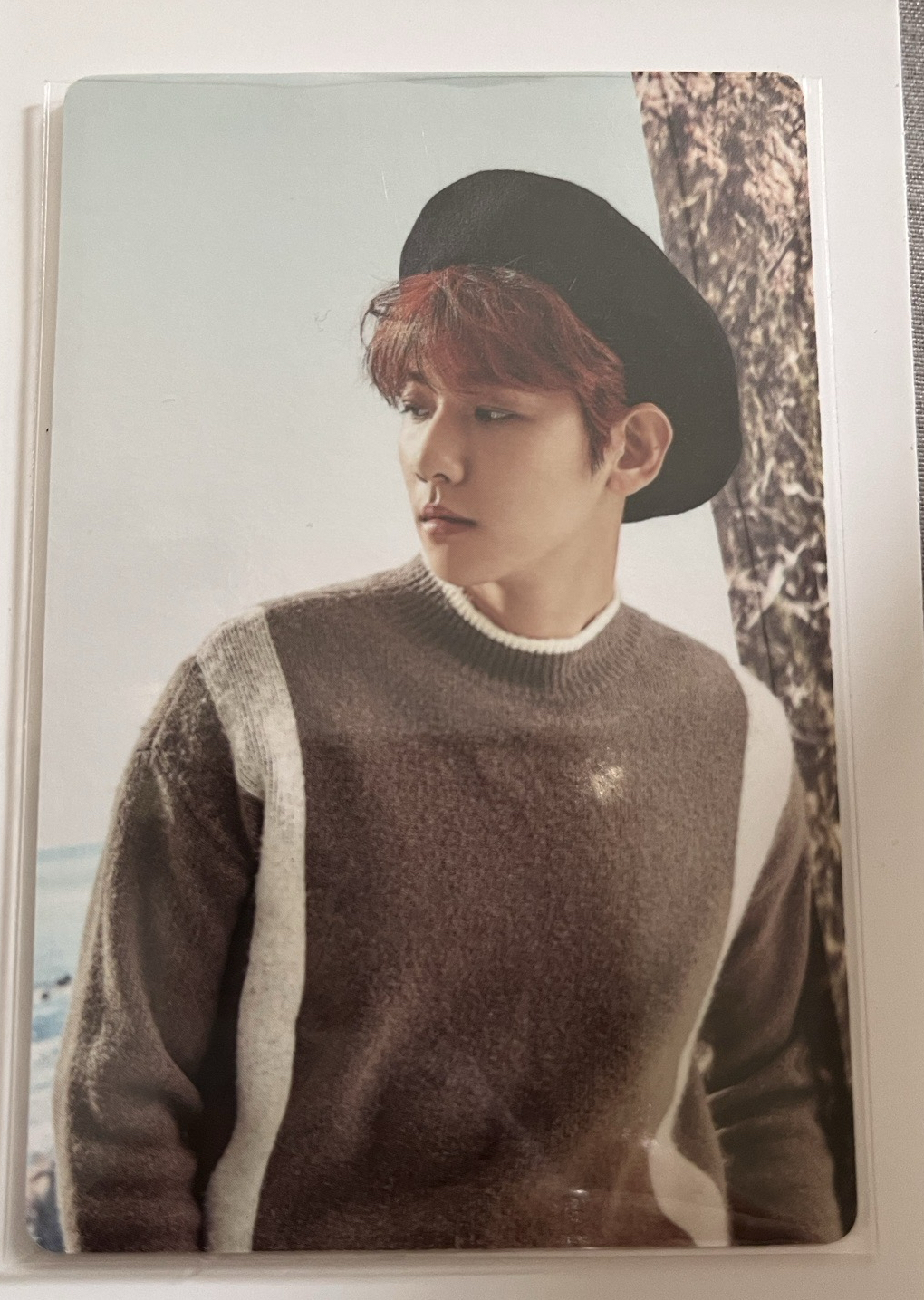 2017伯賢beaekhyun年曆卡