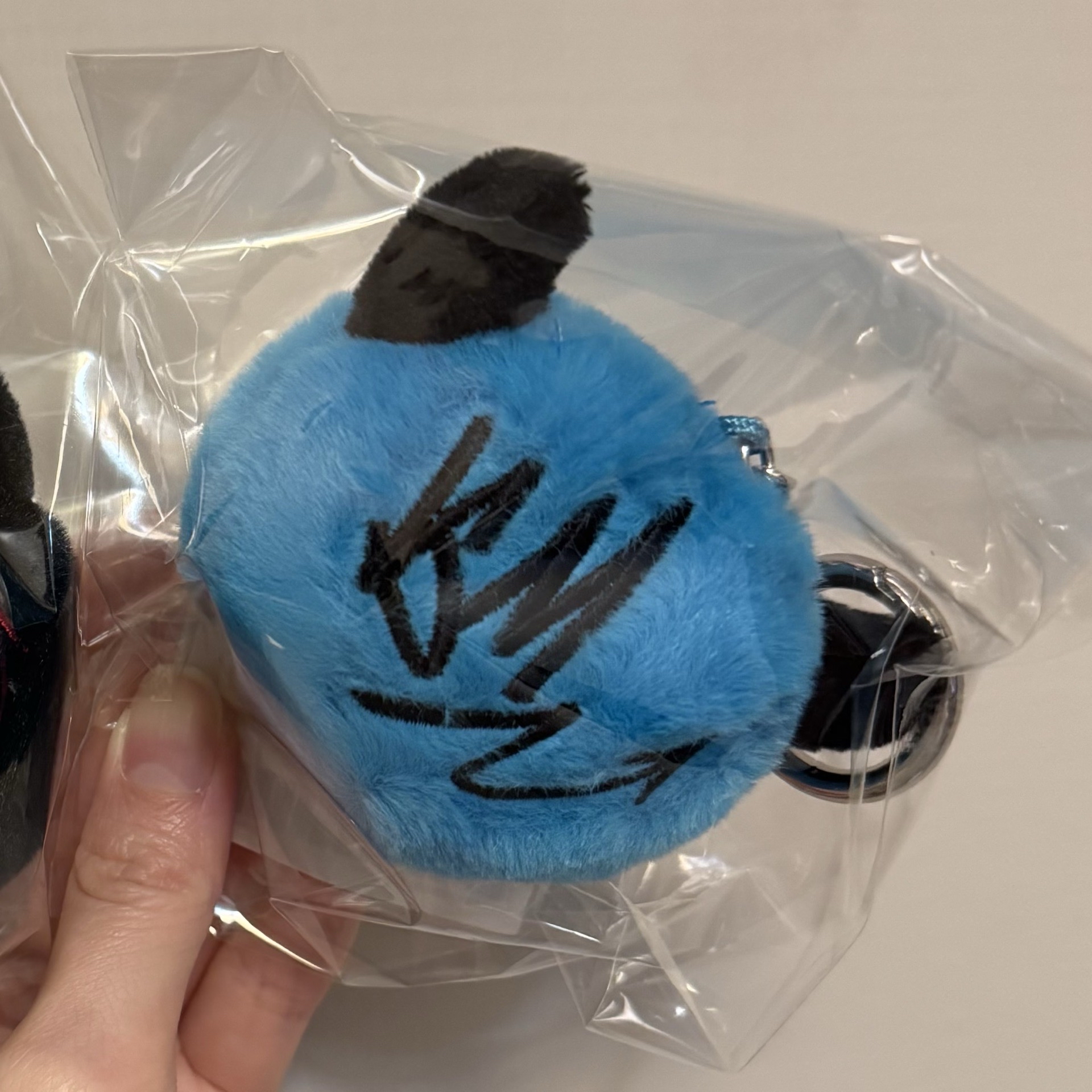 現貨🌟SDL 毛絨吊飾 不含卡