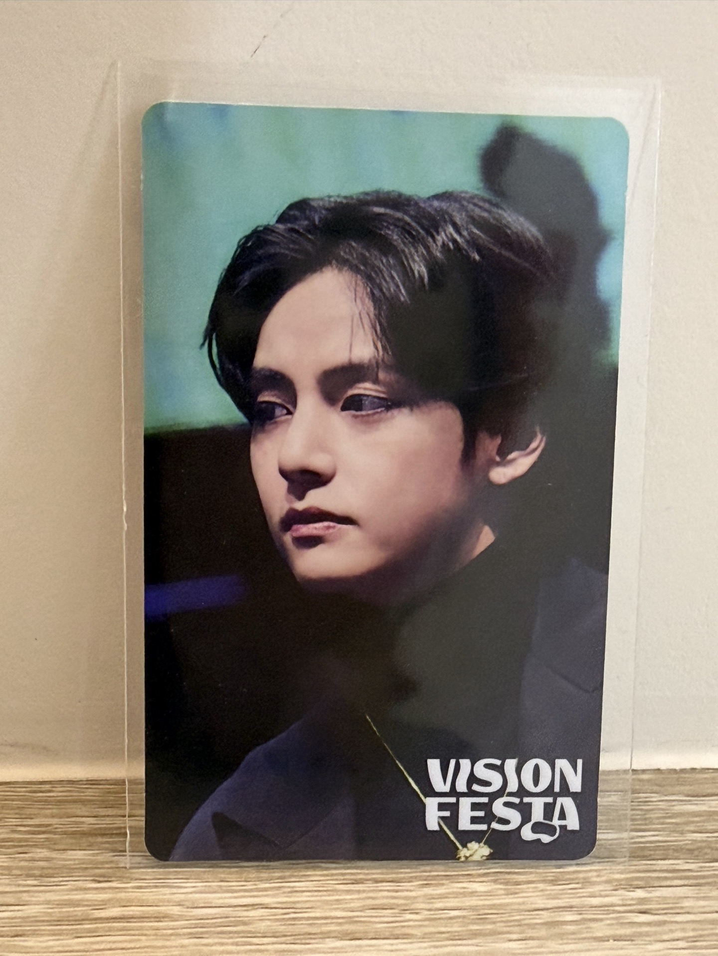 VISION FESTA 入場卡 / 場限卡  V