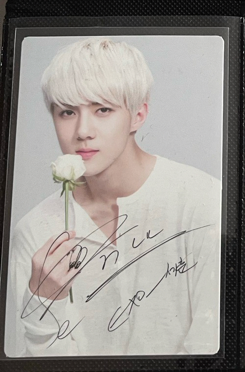 自然樂園小卡 世勳Sehun 