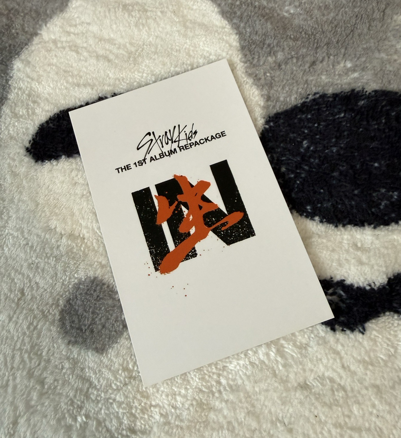 IN生 wd特典 🐺燦