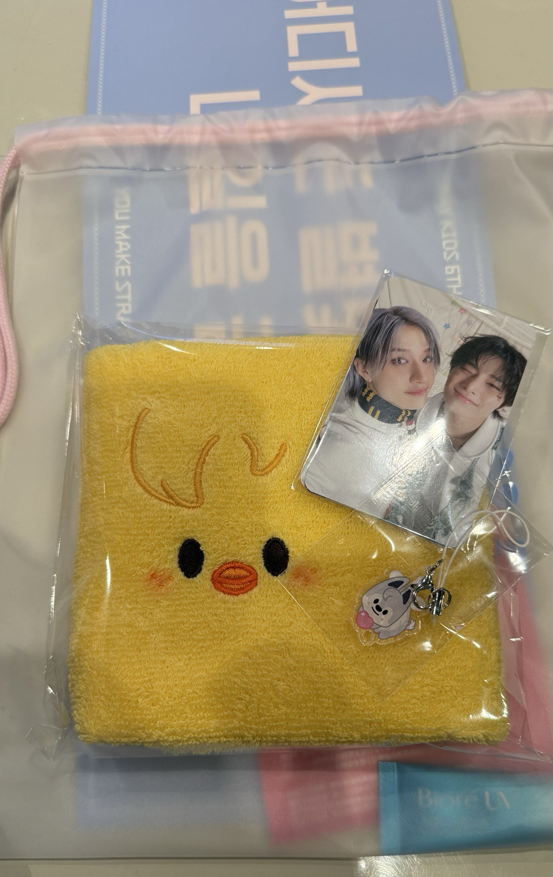 3/29 入場卡(毛巾跟吊飾另購