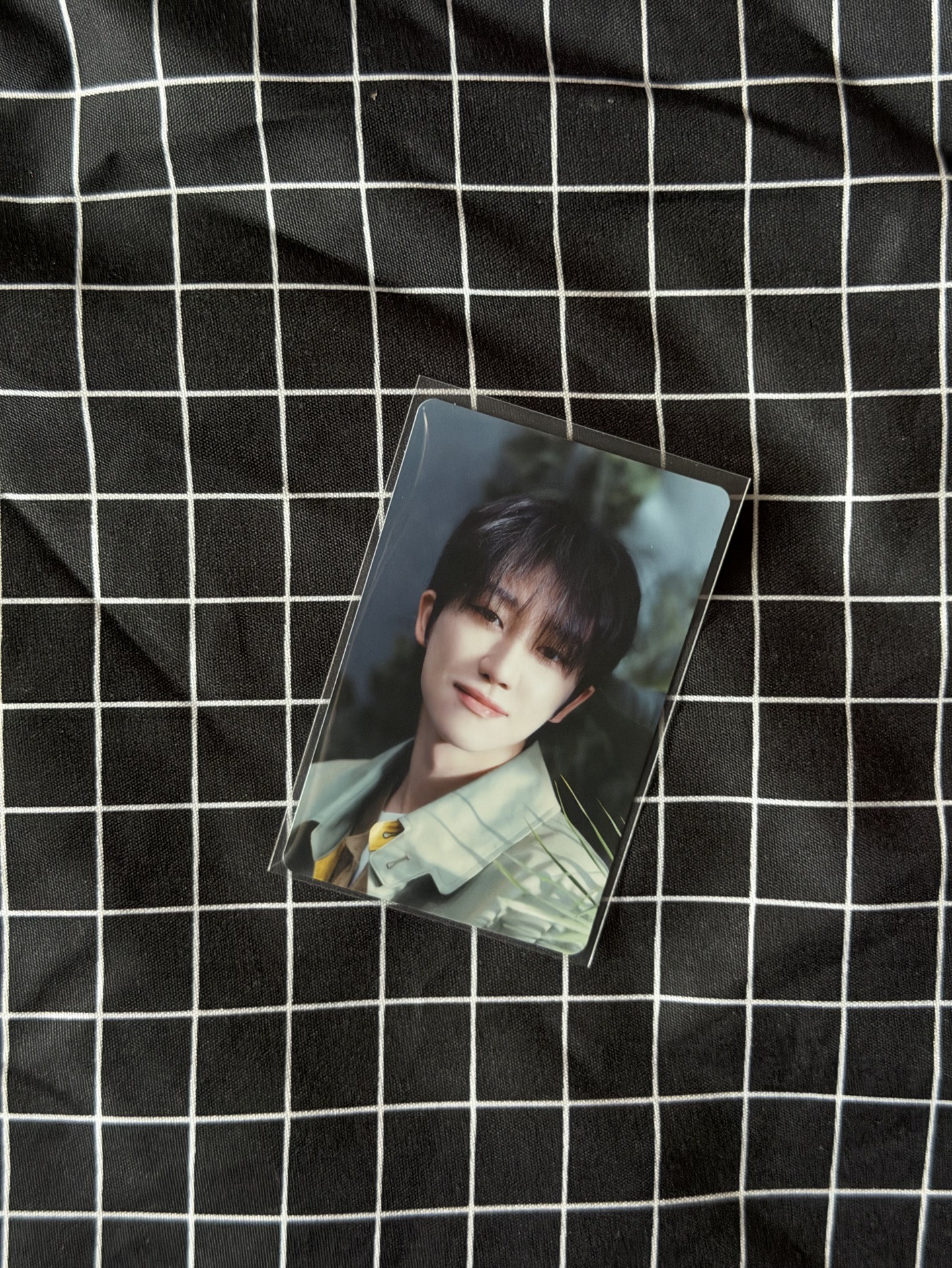 你淺淺的微笑就像烏梅子醬