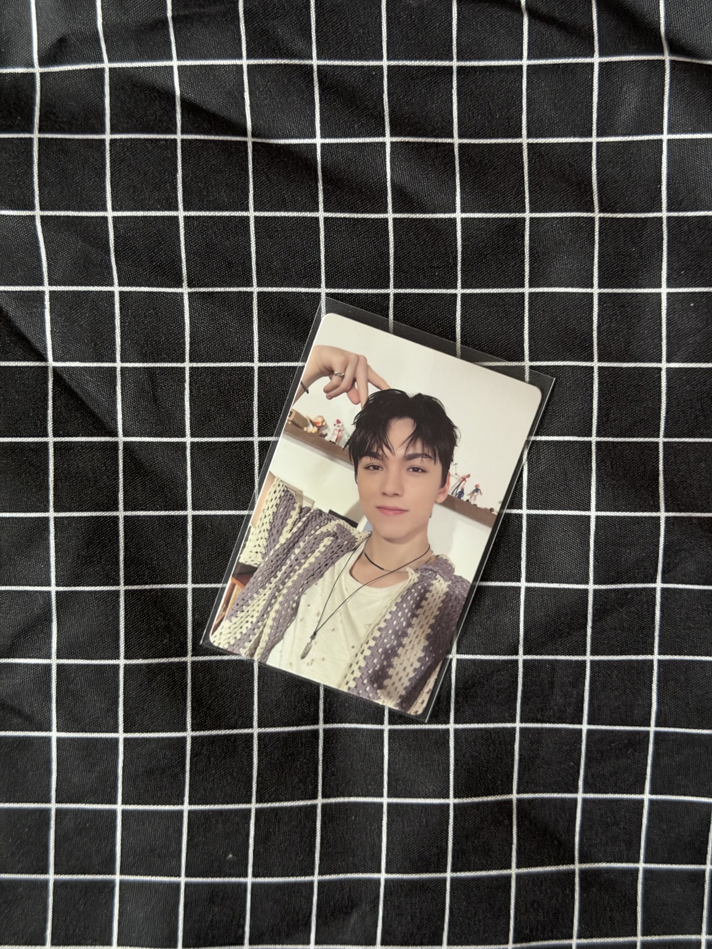 北極貓🐻‍❄️