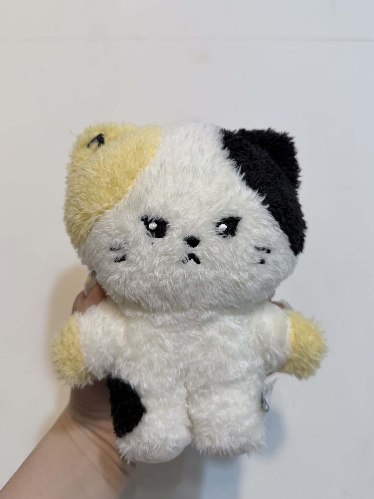 Zb1 rinini 鋭尼尼 18cm 站姿娃