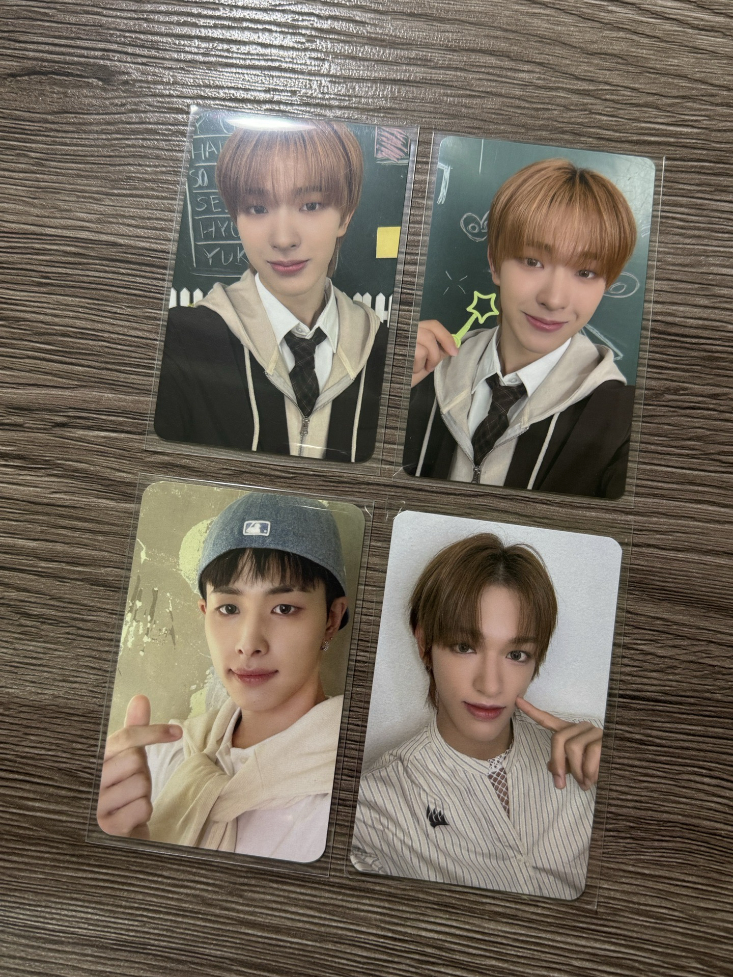 🐧🐻‍❄️🦌小盤