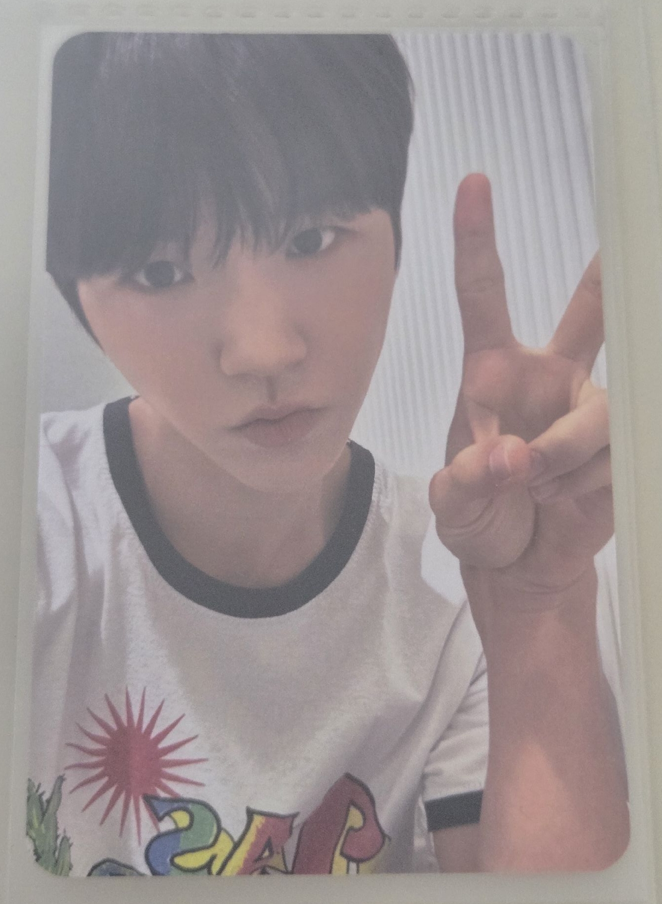 🌳Jaehee Color k4 簽售卡 