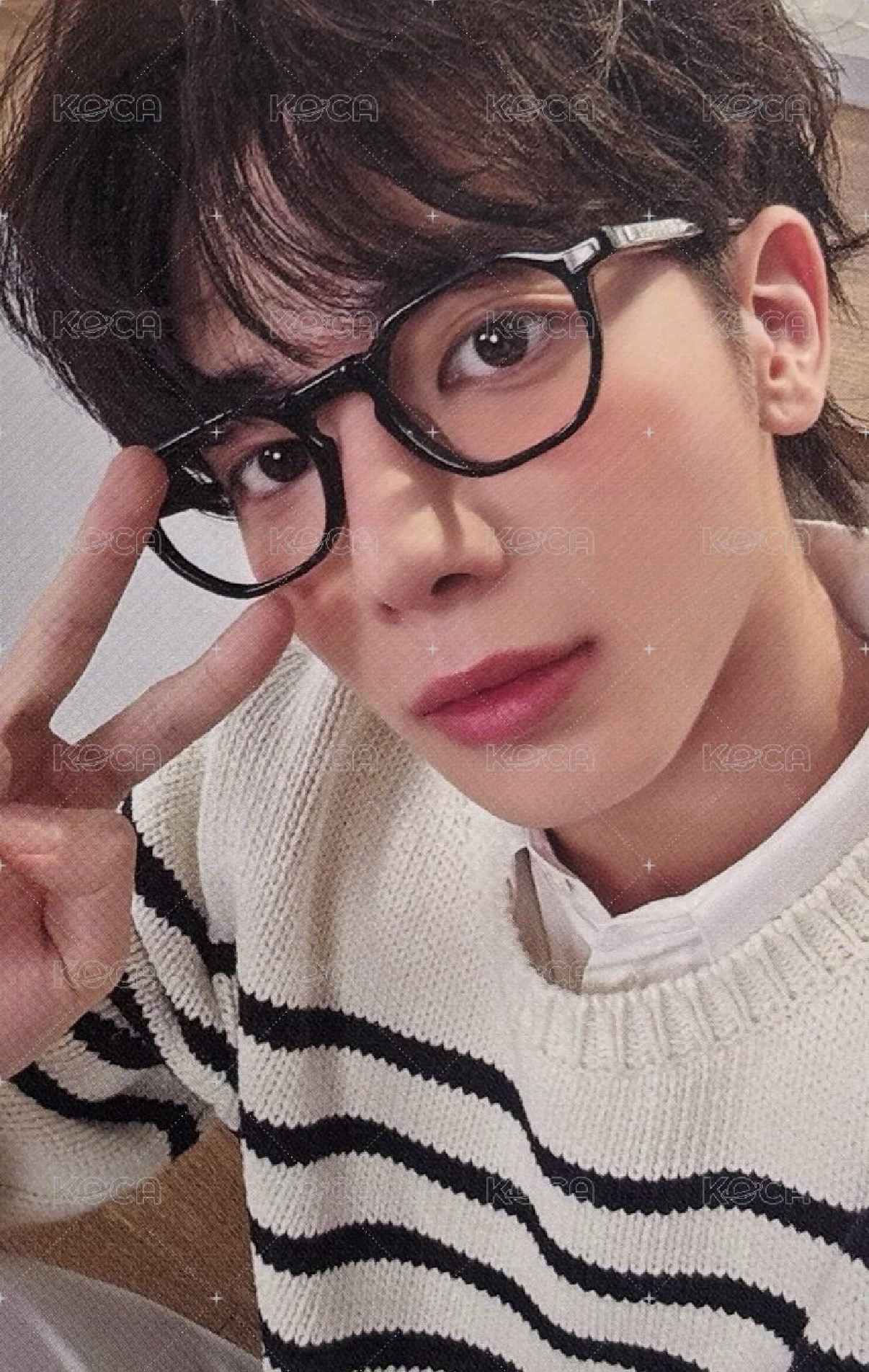 新入會 眼鏡小貓🐱