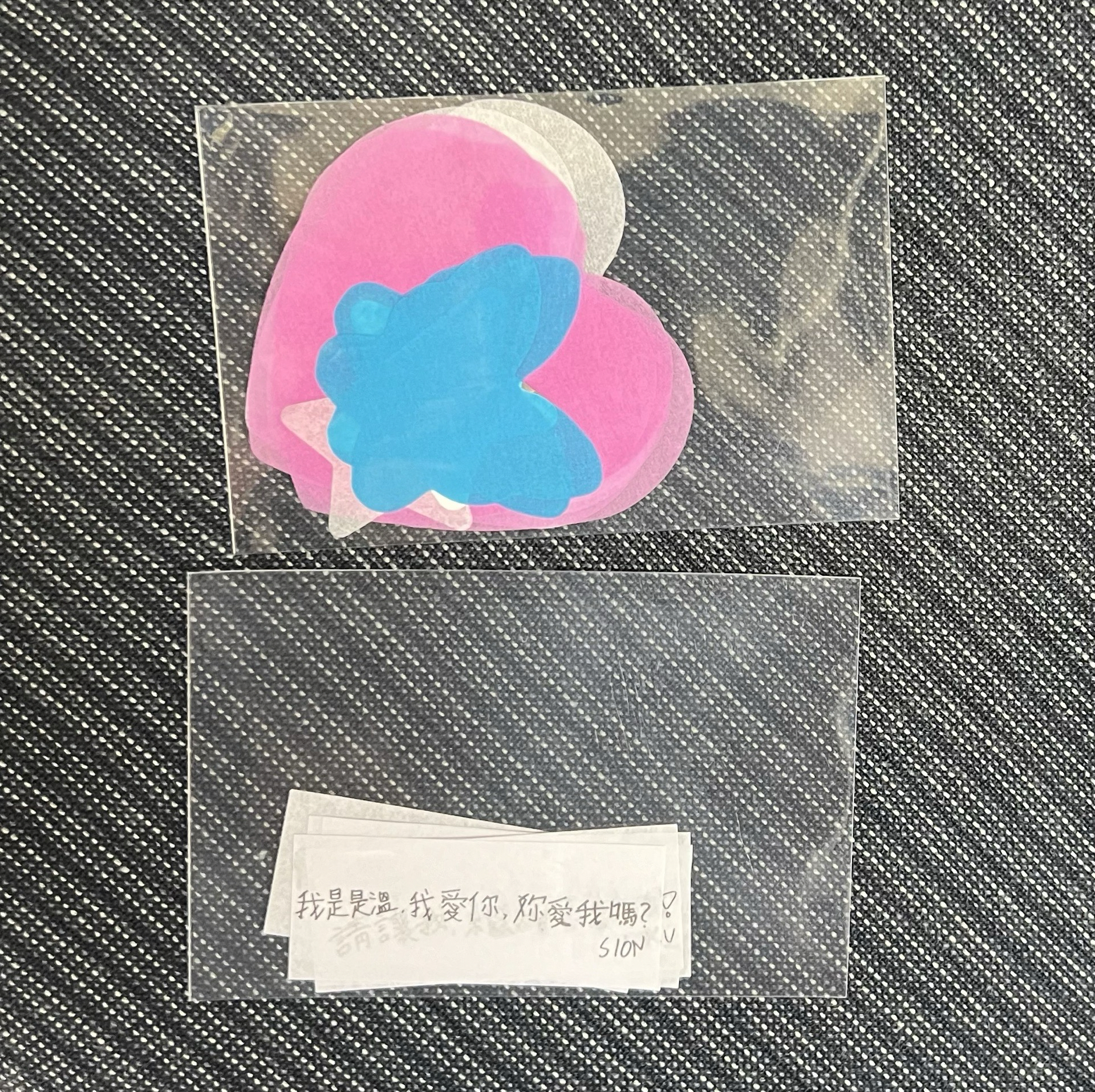 NCT Wish 高雄場 紙花