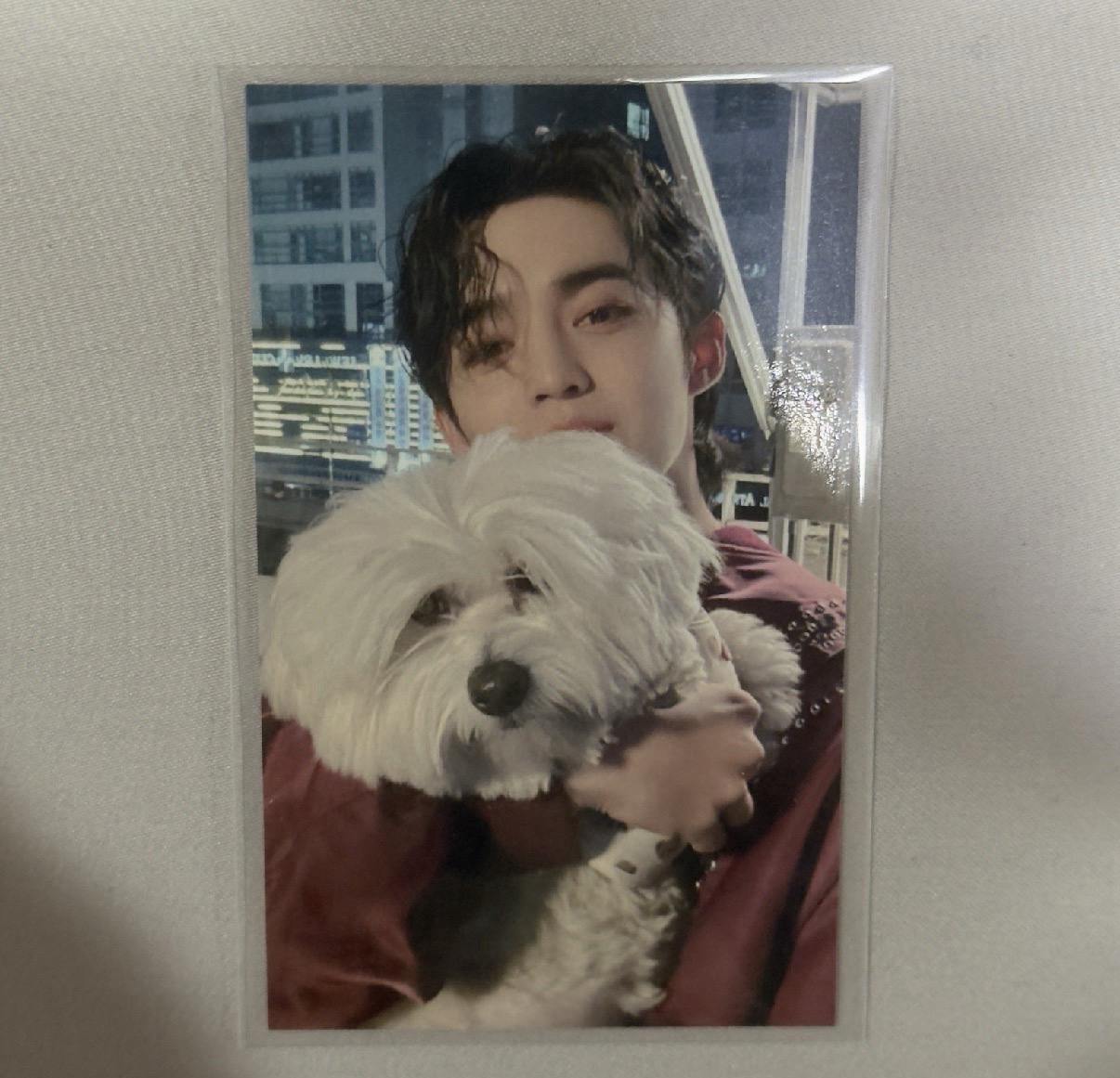 東京場限紅薯哲