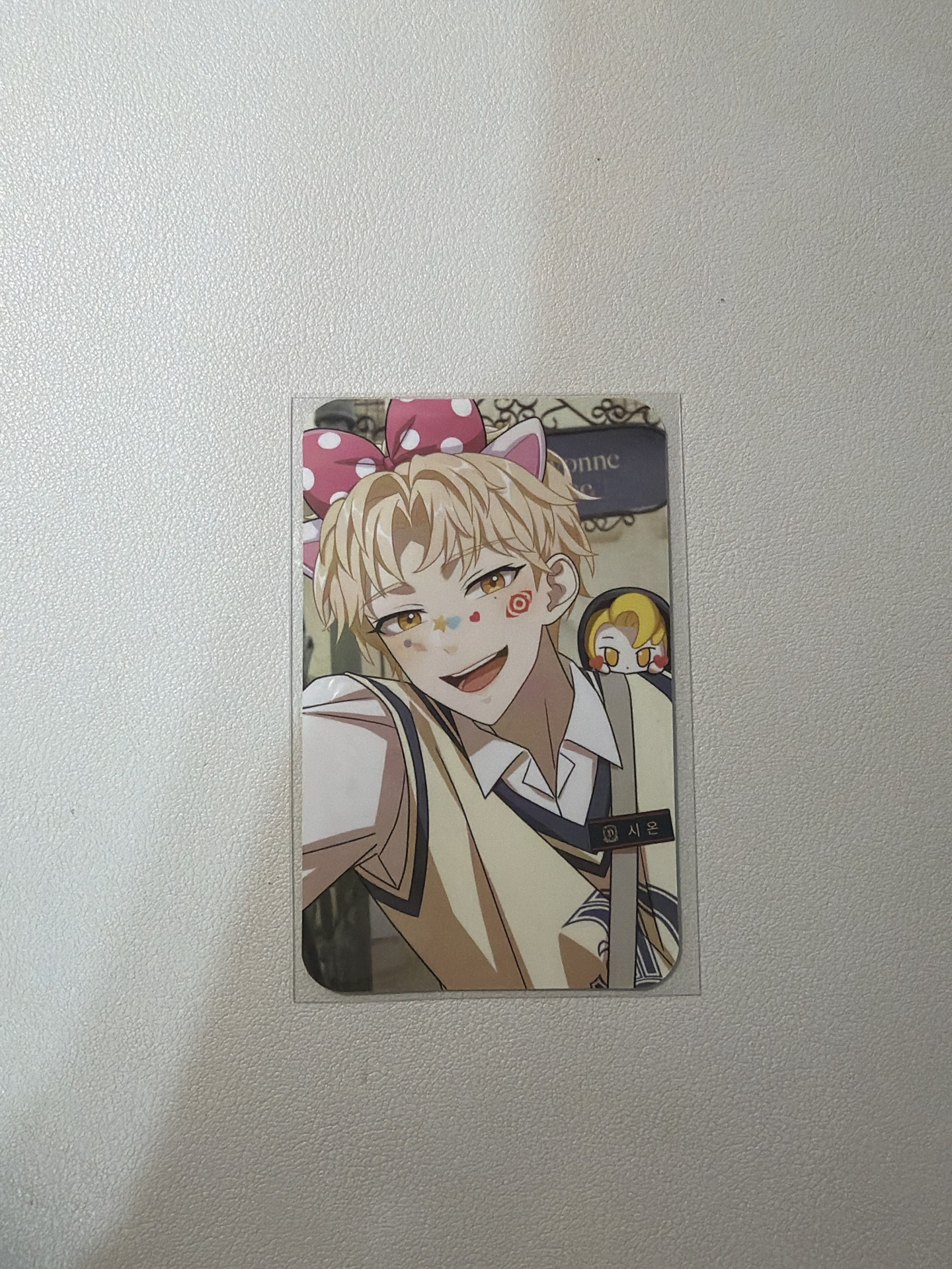 樂天樂園入場卡 希恩 金善禹