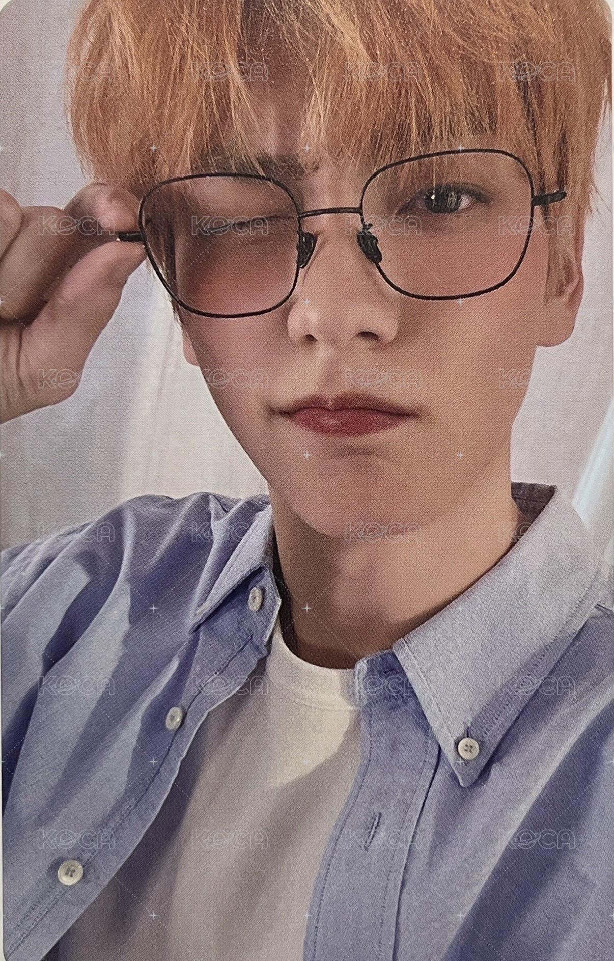 新入會 眼鏡彬🐰