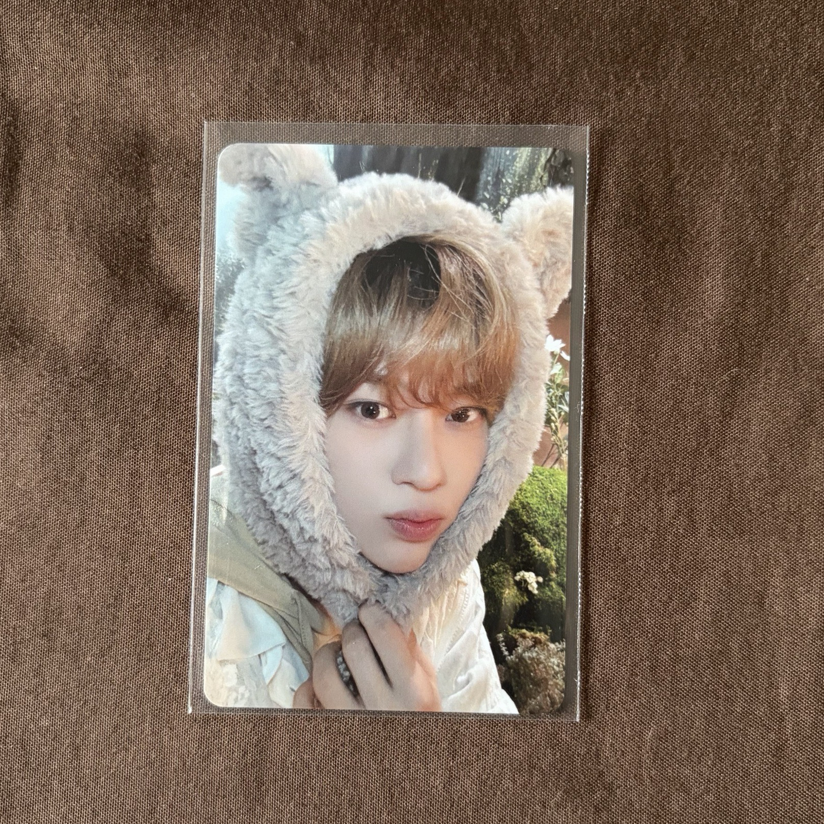 日咖熊熊卡（需多帶）