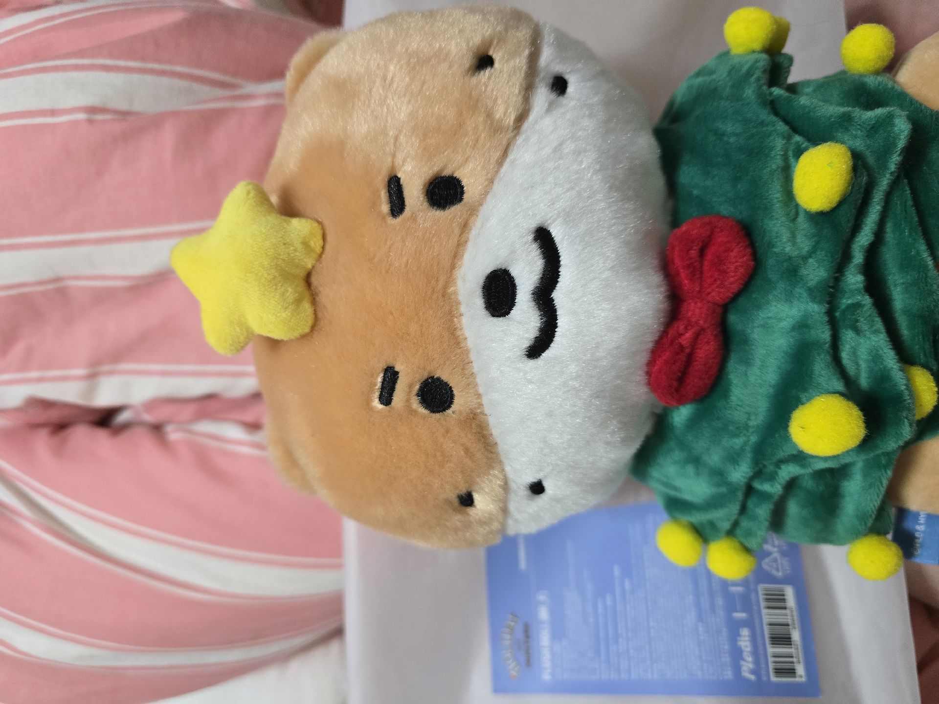 聖誕站娃燦達哩