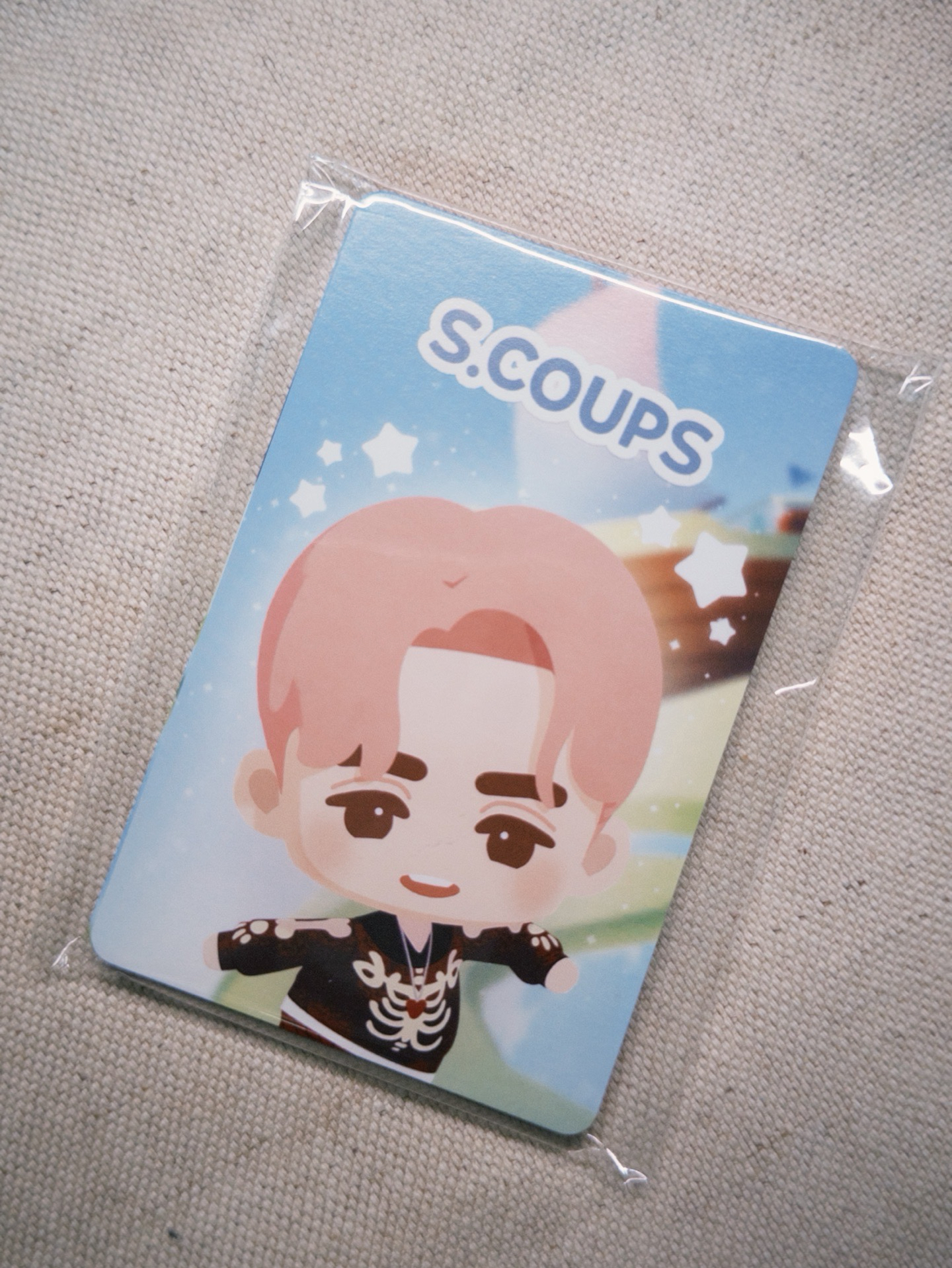 puzzle SVT 遊戲卡 整組 未拆