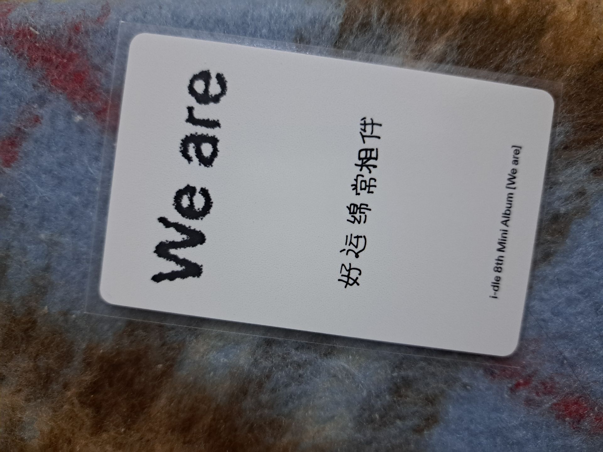 中文卡背黑嘴唇麵麵