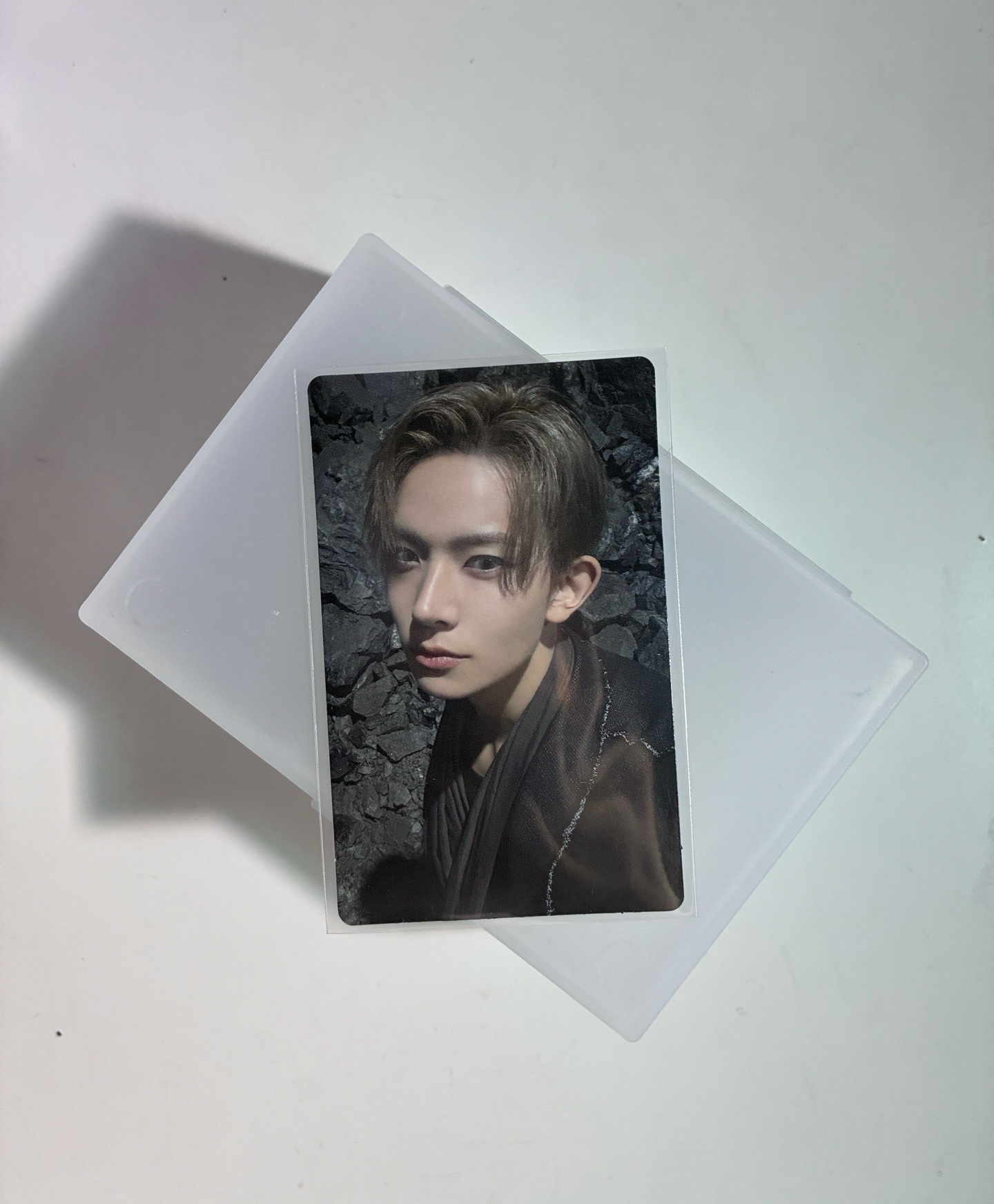 ✨迷七 MUSINSA 特典卡羲🐹✨