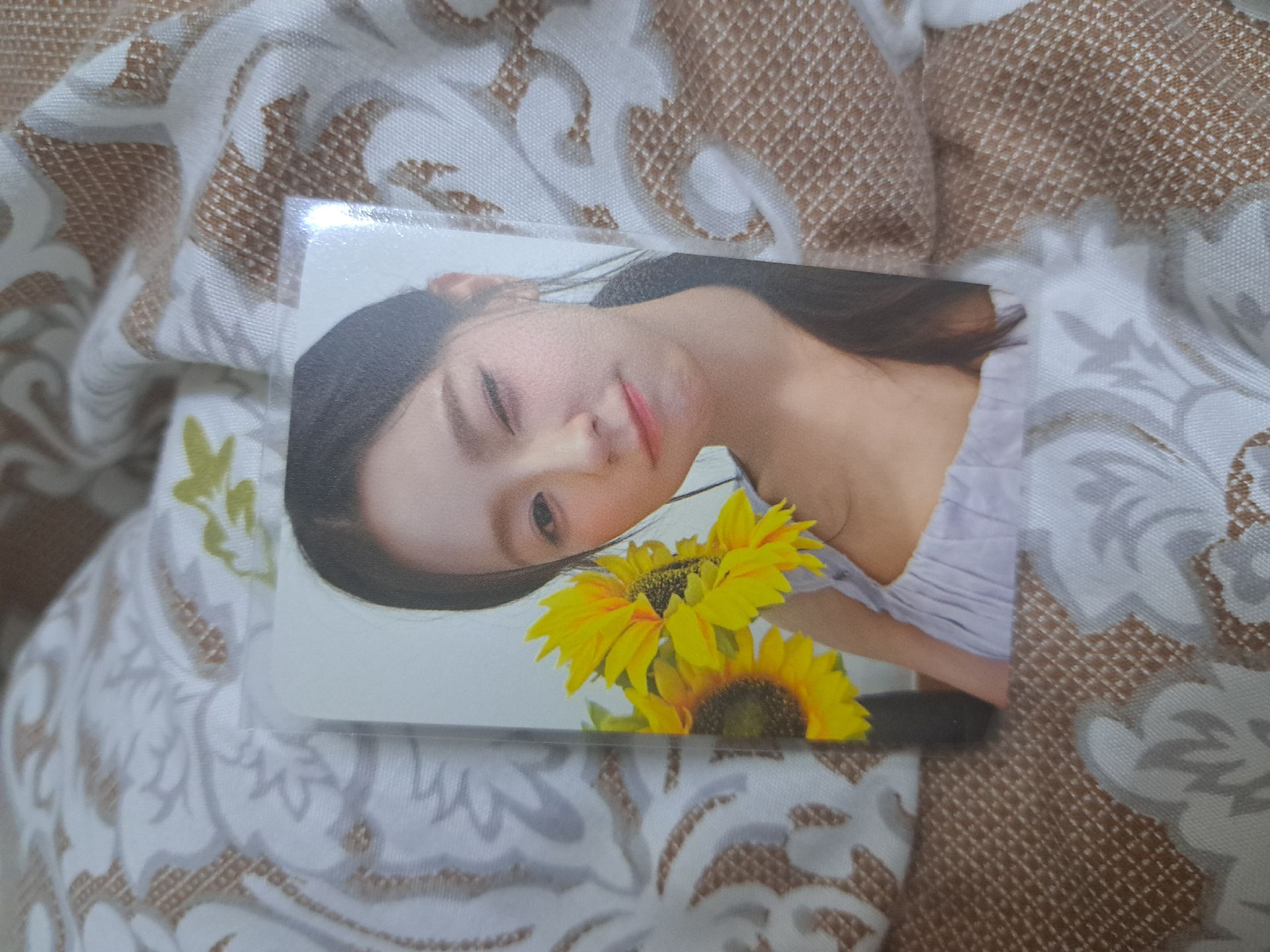 超級萌的豬包拿向日葵麵