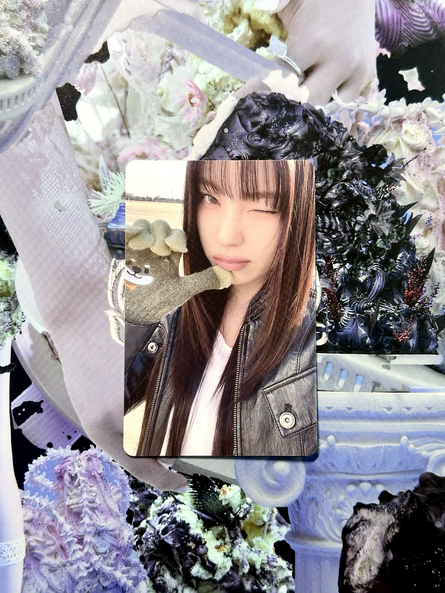 極光寫真固配圭