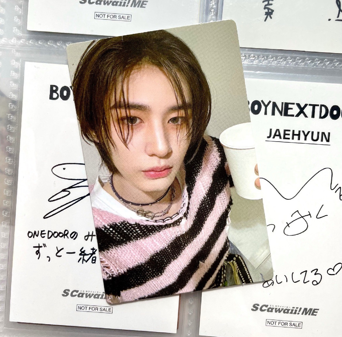 金小涵長耳兔🐰