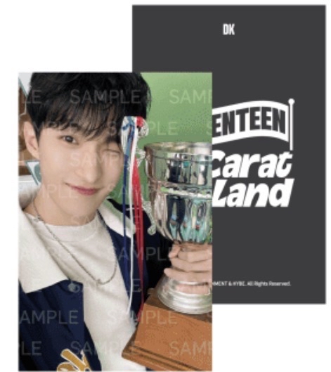 25年克拉島外套卡-碩