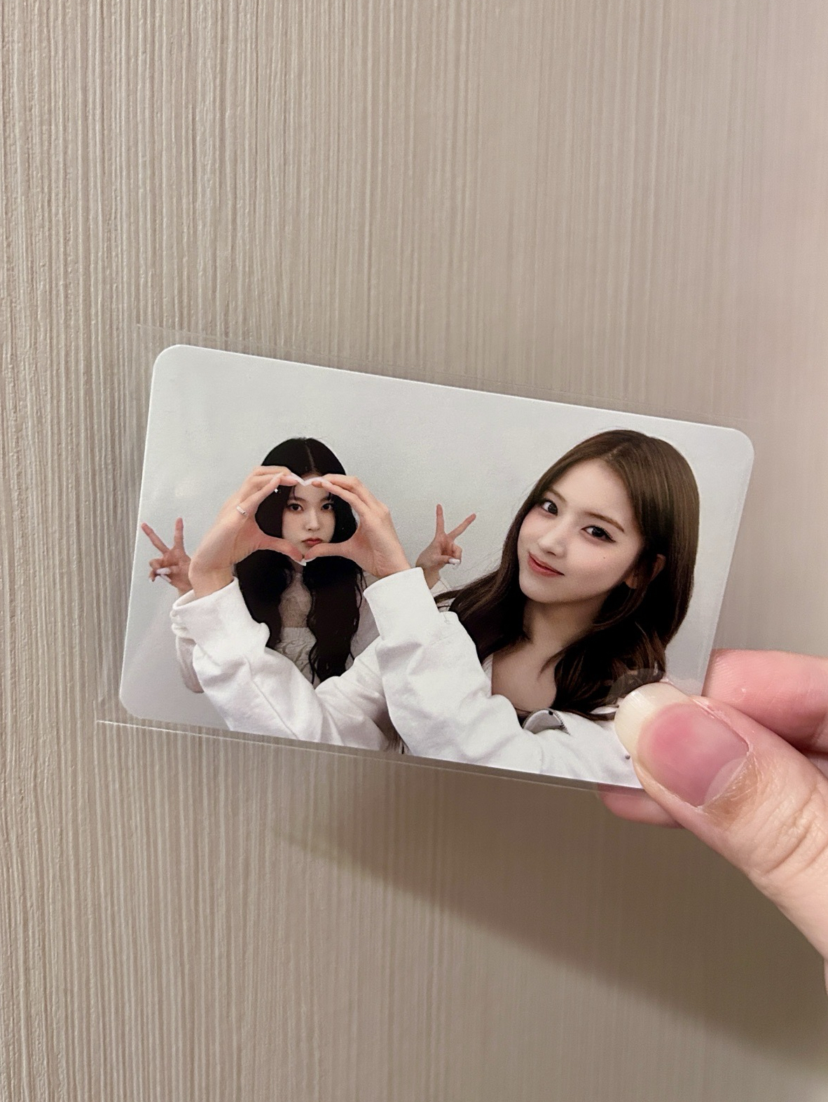 超萌貓狗比心雙人