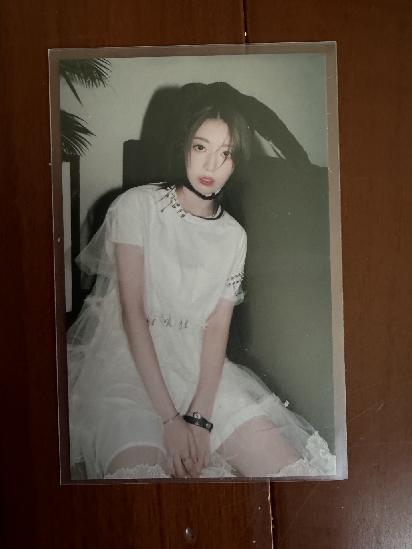 櫻花 ANTIFRAGILE 環球 特典卡 預售特典