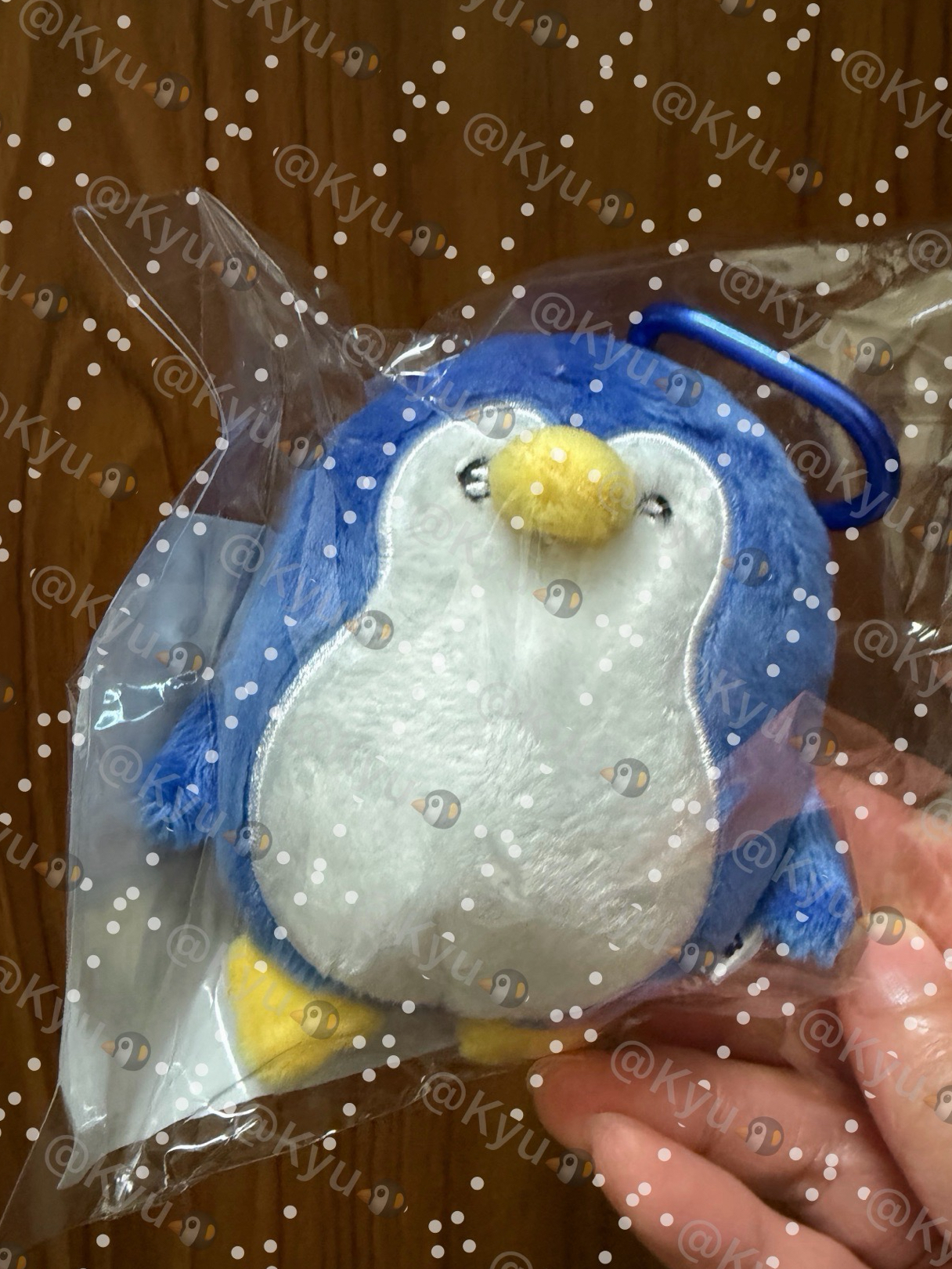 SS10 日周娃 圭賢企鵝