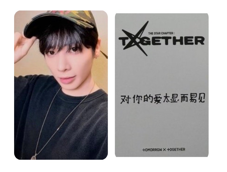 對你的愛太顯而易見