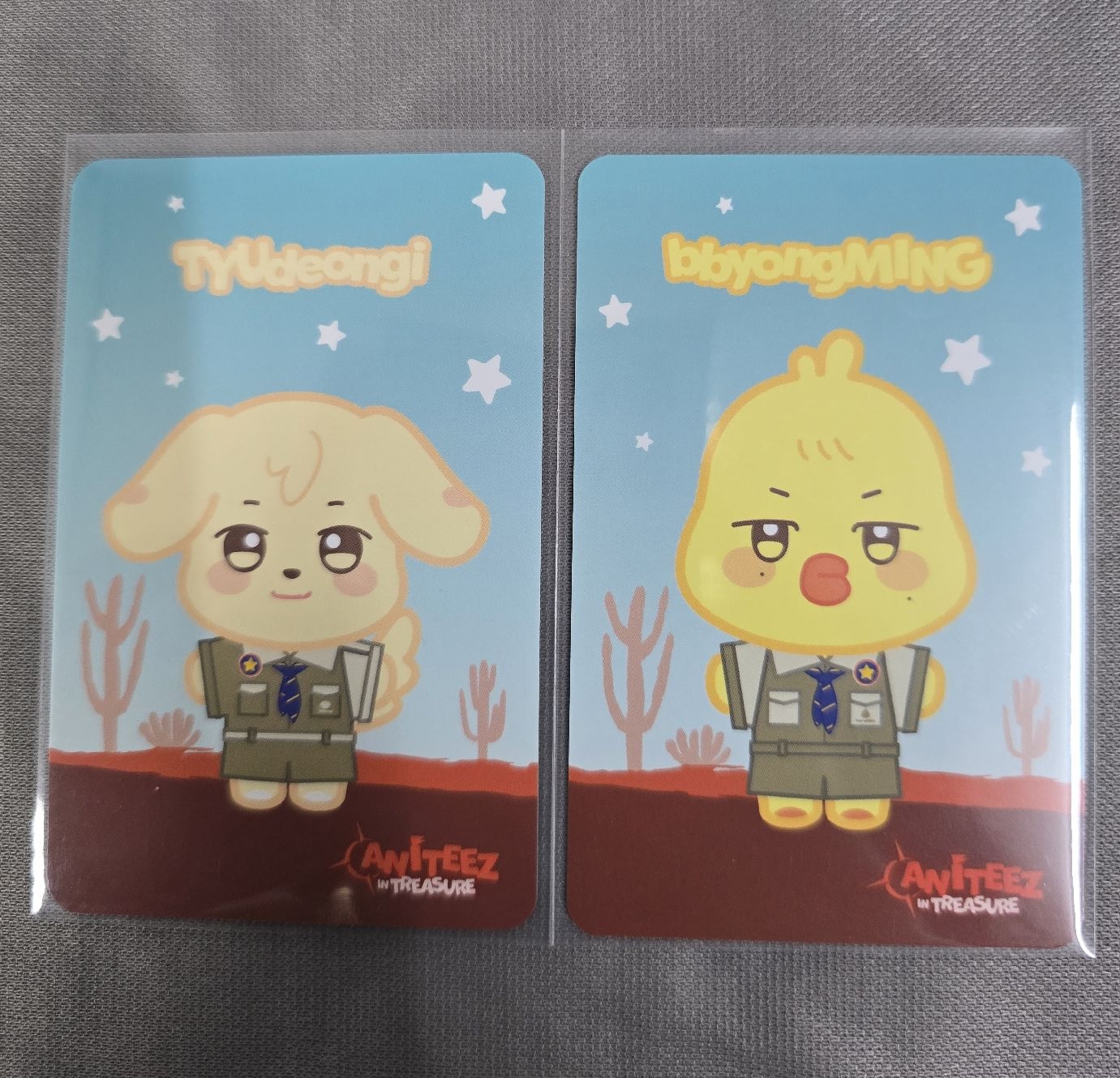 潤浩＆旼琦 ANITEEZ IN TREASURE 隨機卡 