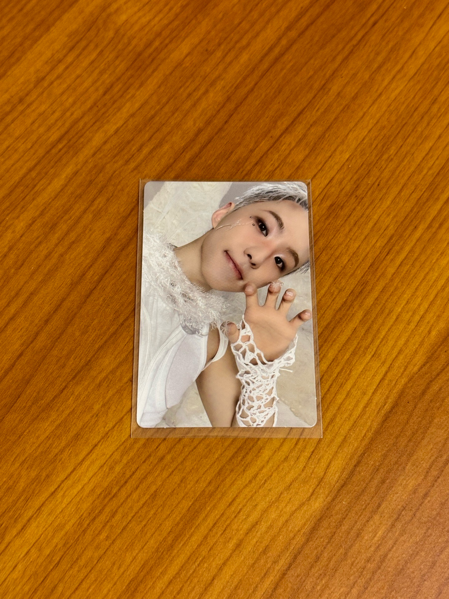 HOSHI/正五專輯卡