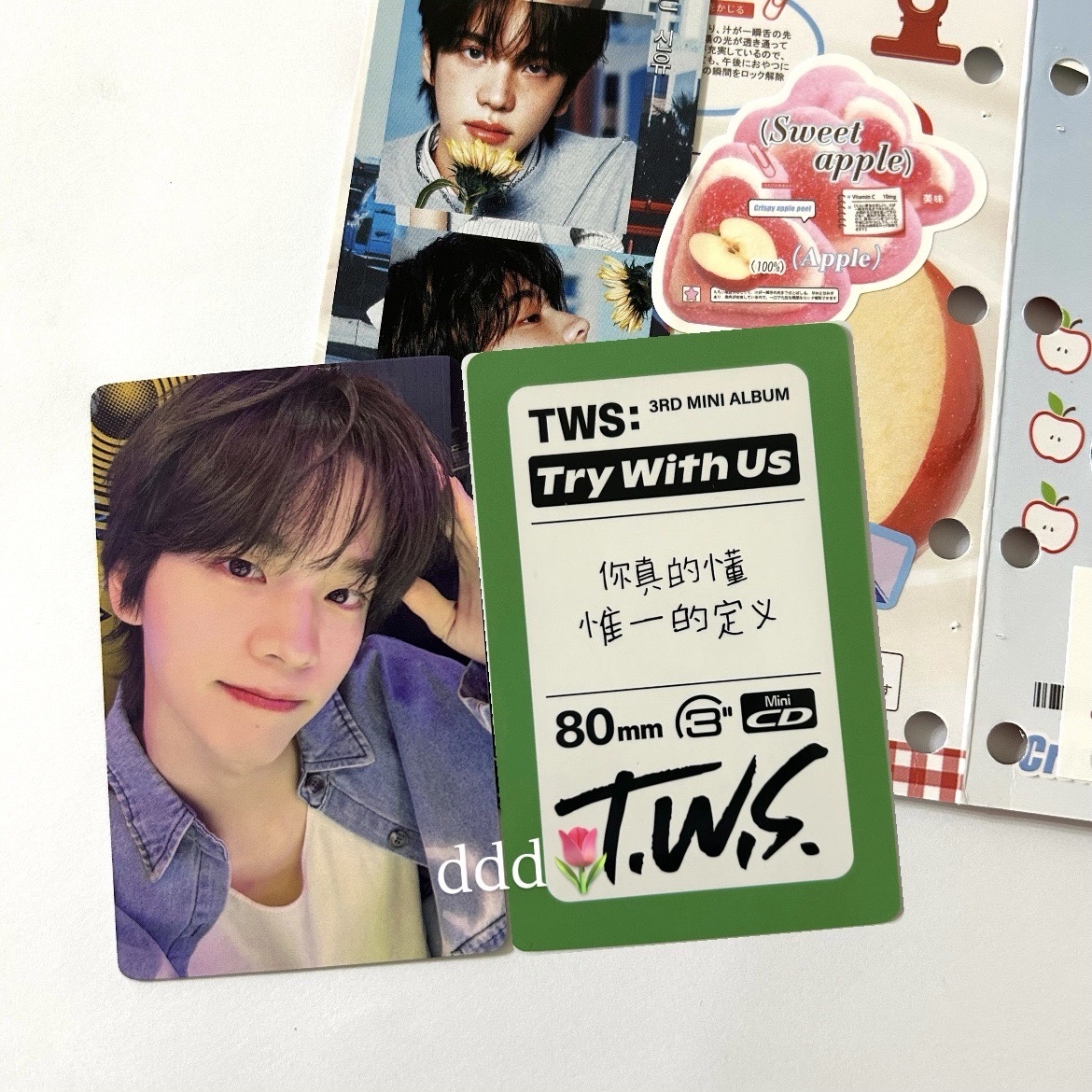 狗耳申惟中文卡背