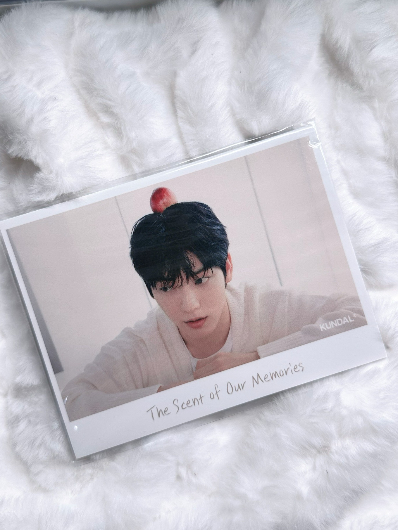 kundal代言明信片 一套