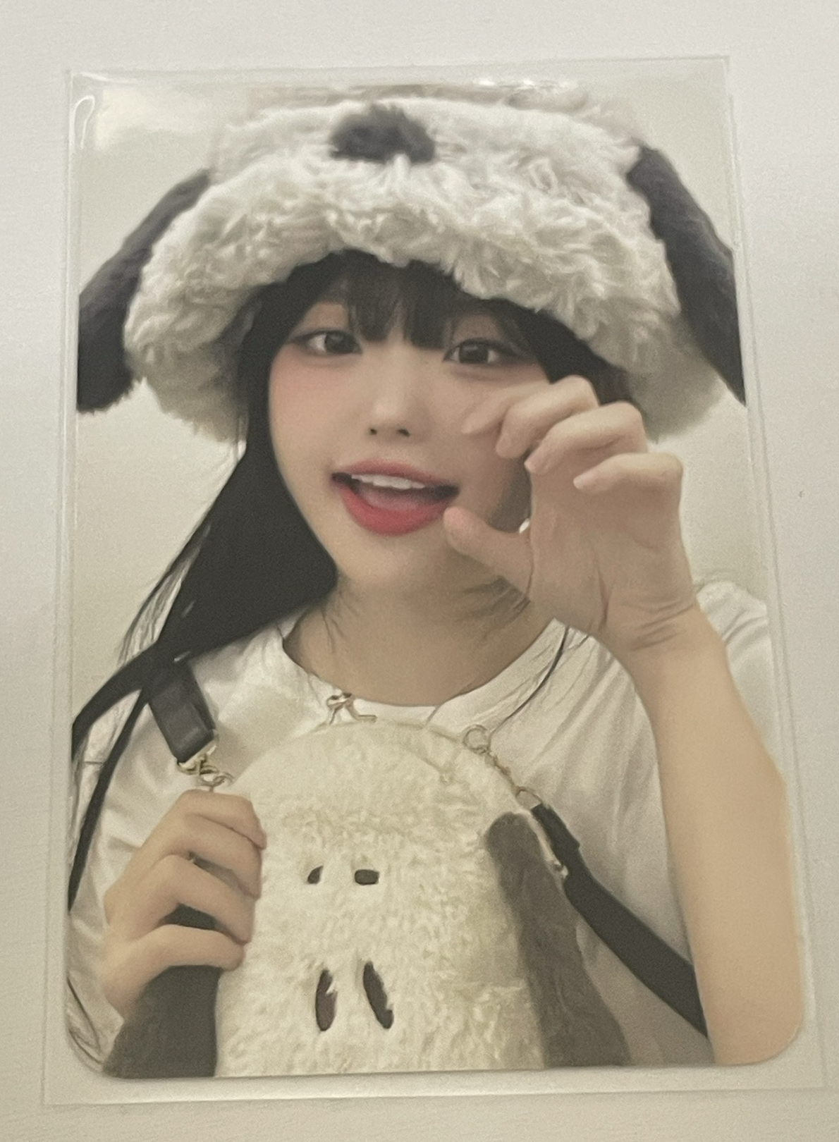 迷二 dmm 線上 6.0 簽售卡 小狗帽 