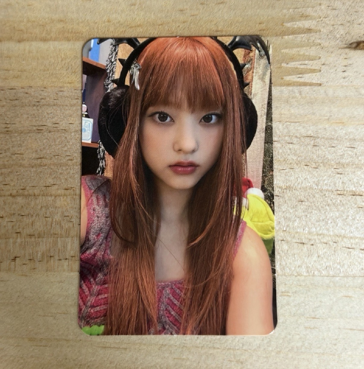 一直娛惡魔貓貓