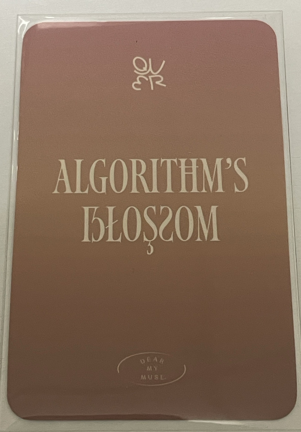 迷二 dmm 線上 6.0 簽售卡 小狗帽 