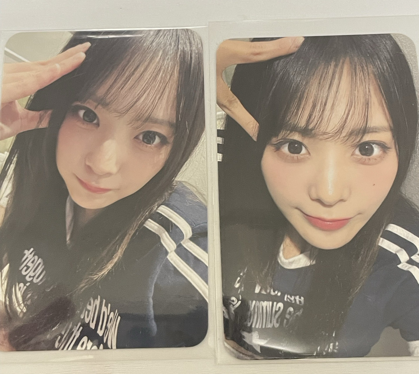 迷三 dmm  1.0 簽售卡 小貓 小狗