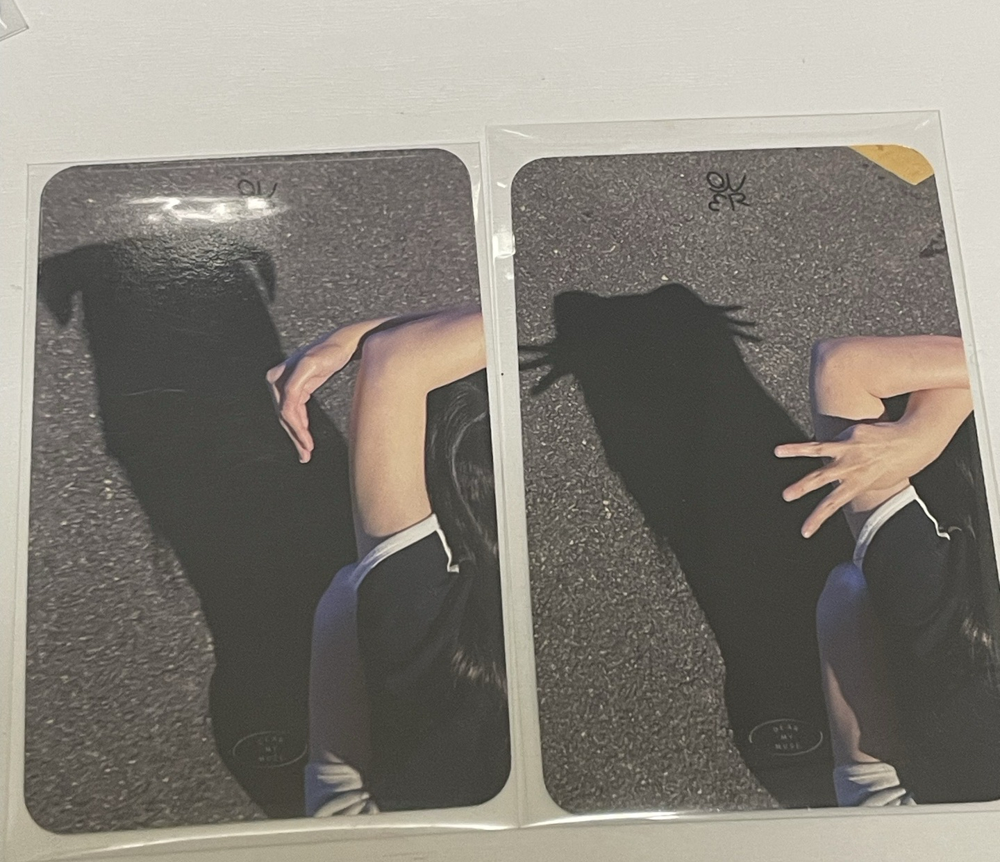 迷三 dmm  1.0 簽售卡 小貓 小狗