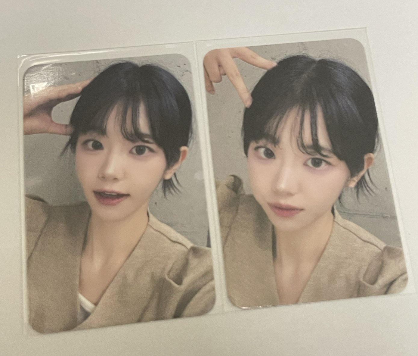 迷三 dmm  1.0 簽售卡 小貓 小狗