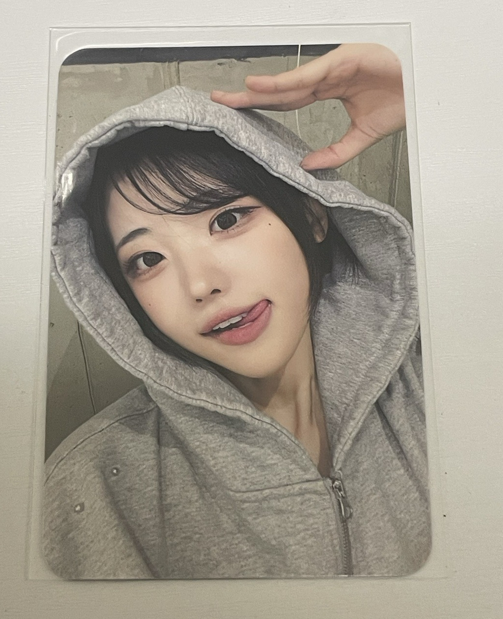 迷三 dmm 線下 1.0 簽售卡 小狗