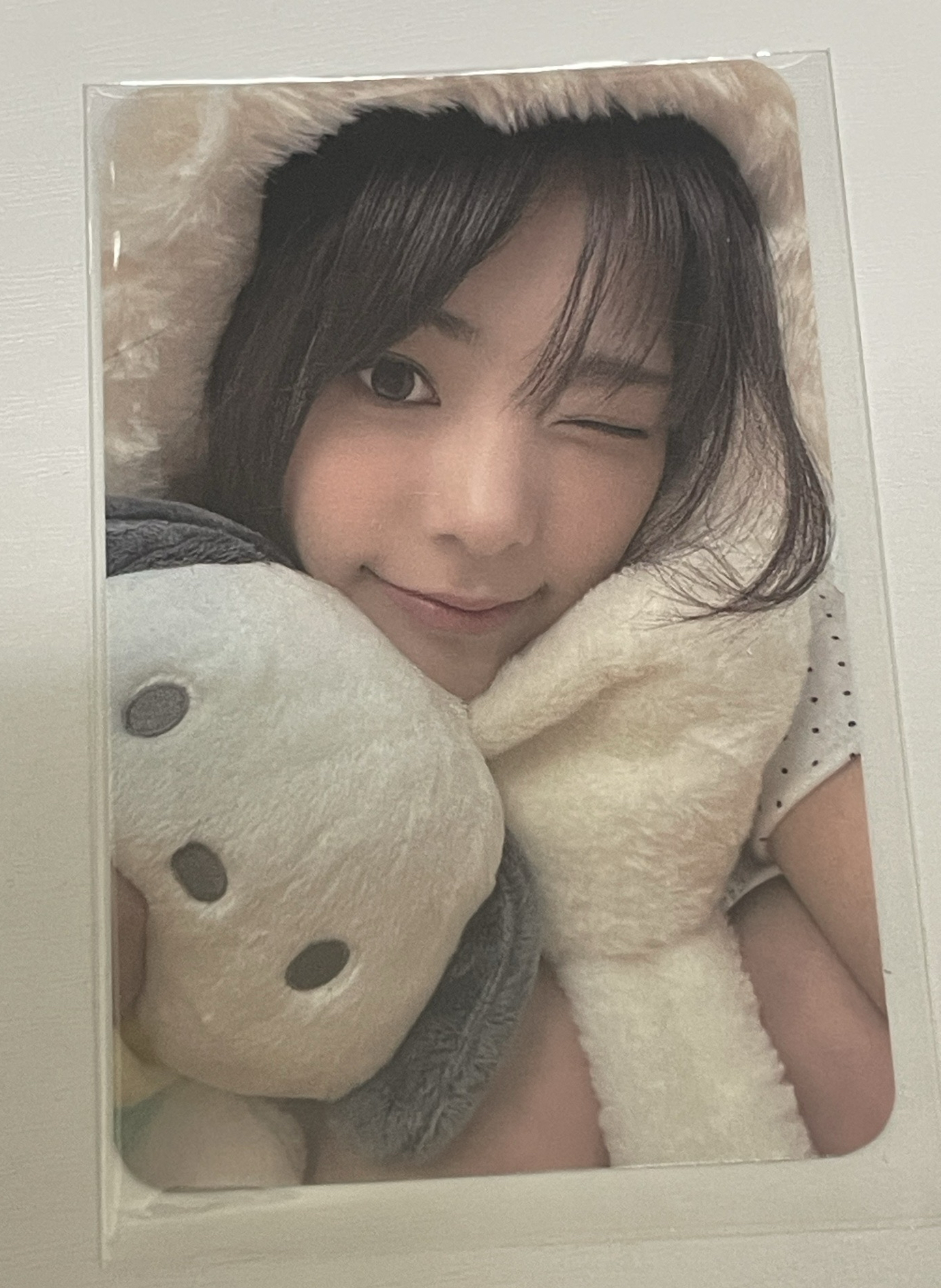 迷三 br 線上 4.0 簽售卡 帕恰狗