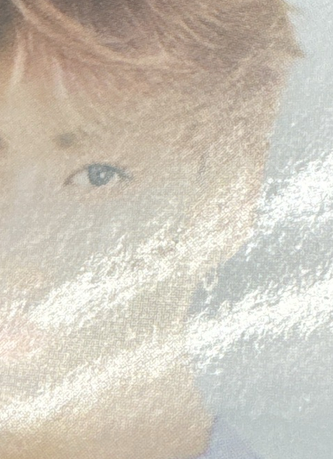 2019 季節問候年曆 證件照