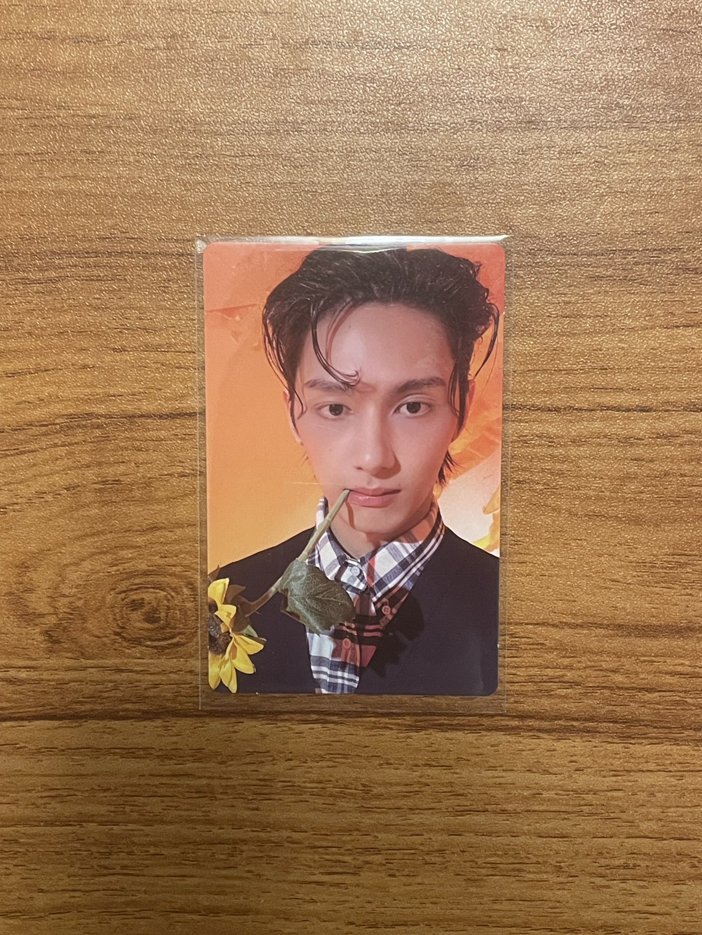 精選專專卡 HERE ver俊